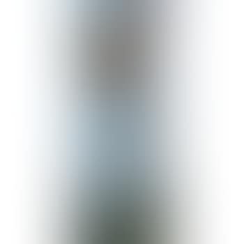 Examining Negatives (preview)