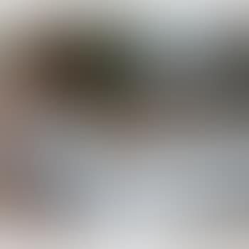 Jeanne Devant La Nature Morte (preview)