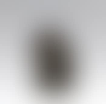 Selbstbildnis (preview)