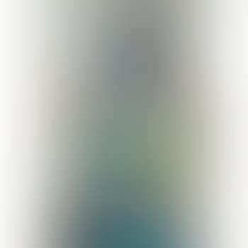 Femme Au Chat Assise Dans Un Fauteuil (preview)