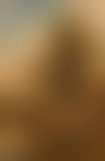 Going to fetch water (preview)