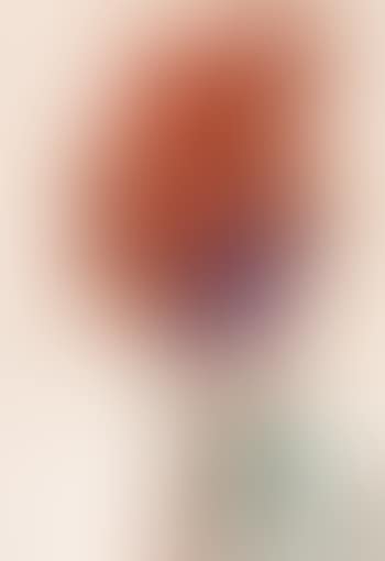 Rote Cannas (preview)