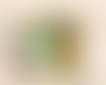 Ohne Titel (Legende/See) (preview)