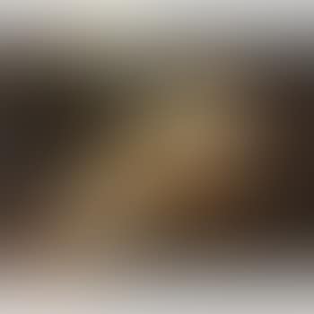 Maddalena Penitente (preview)
