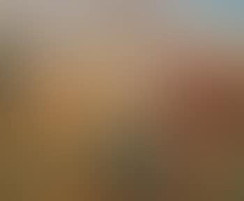 Village du Vaucluse (preview)