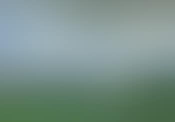 Canterbury pastures (preview)