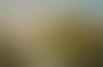 A Surrey landscape (preview)