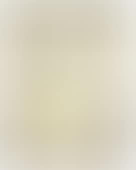 Signora Castelnouvo, And Lady In A Yellow Dress (preview)