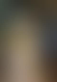 A Venetian lady at her toilet (preview)