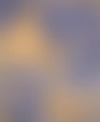 Leda und der Schwan (preview)