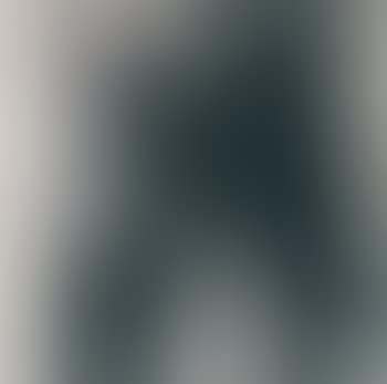 Joe d'Alessandro (preview)