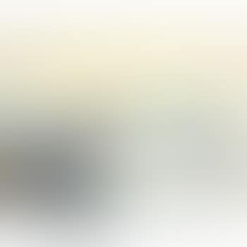 Il Roven (Stampa) (preview)