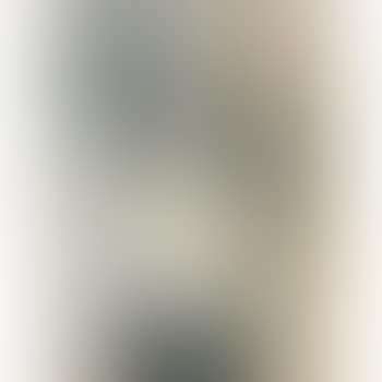 Selbstbildnis mit Weisser Spitzenbluse (preview)