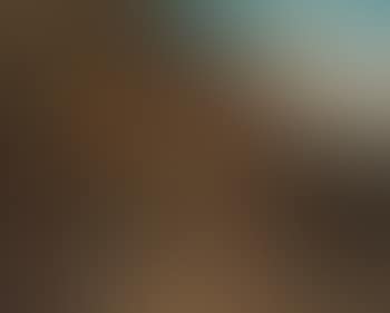 Nature morte (preview)