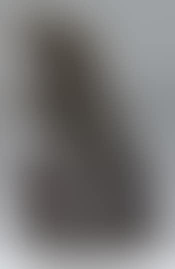 Der Denker (preview)