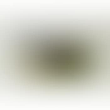 A Lesser Sooty Tern (preview)