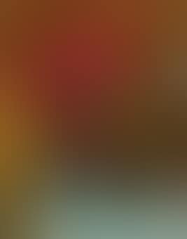 Stillleben mit Blumen (preview)