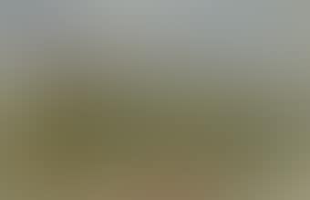 Sommerlandschaft (preview)