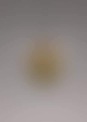 Satellite ceiling light (preview)