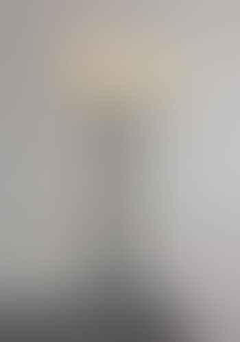 Rare 'Fondperdu' floor lamp (preview)