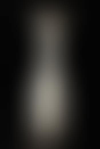 Exceptional tall flattened vase (preview)
