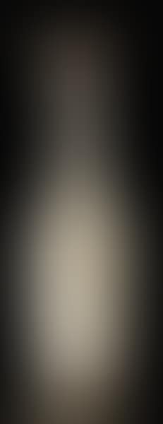 Tall flattened vase (preview)