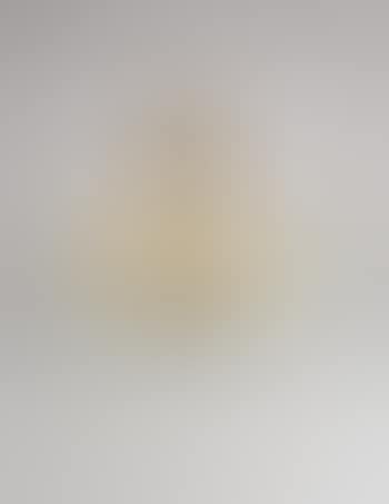 Ceiling light, model no. 1748 (preview)