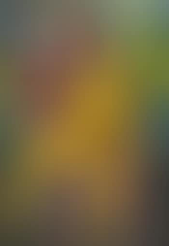 Lovers (preview)