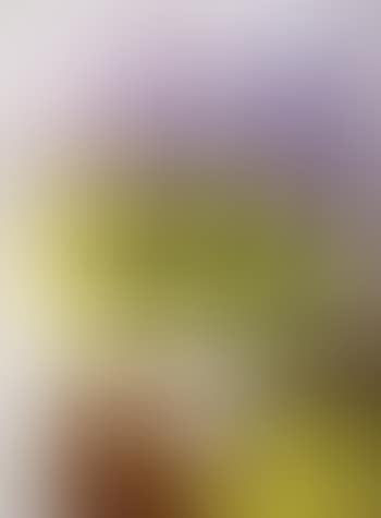 Bouquet de fleurs (preview)