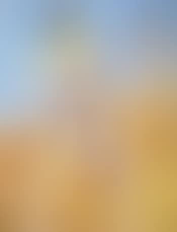 Baigneuses (preview)