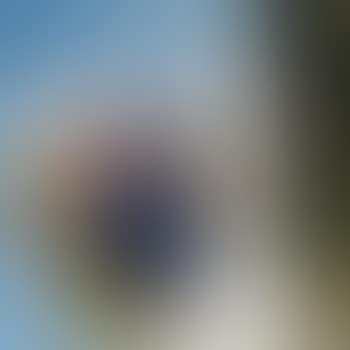 Untitled (Portrait Of An Umbrella Series) (preview)