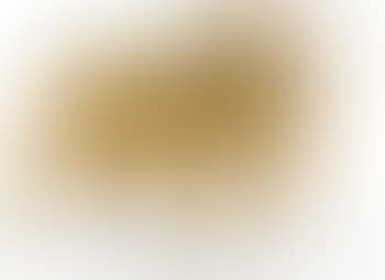 A donkey (preview)
