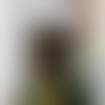 The Unknown Painter (preview)
