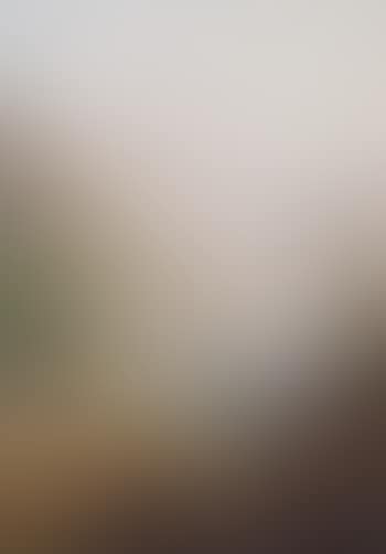 Blick in ein Gebirgstal (preview)