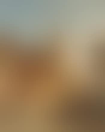 Continental market place (preview)