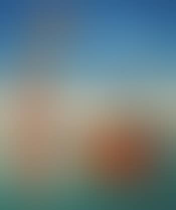 La mujer en la playa (preview)