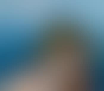 View of Lacroma (preview)