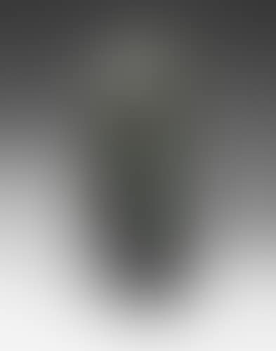 Figure (preview)