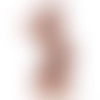 Horse (preview)