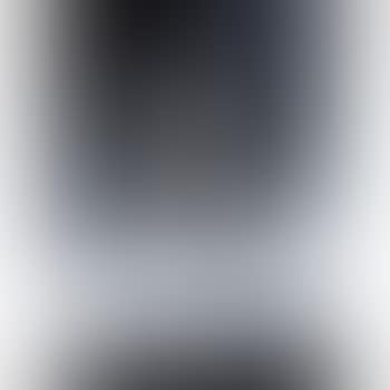 Neutron (preview)