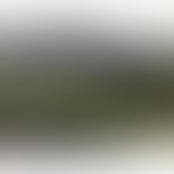 Geese Over The Lotus Pond (preview)