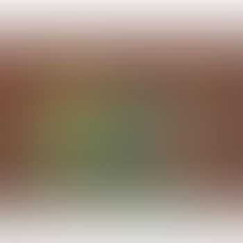 Lampe Perievienne (preview)