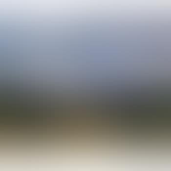 Paysage Aux Environs De Saint-maximin (preview)