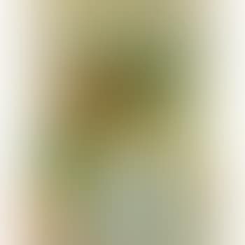 Vase Of Flowers (preview)