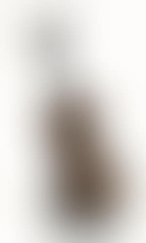 Violon coupe IV (preview)
