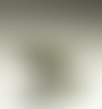 Oiseau fixe (preview)
