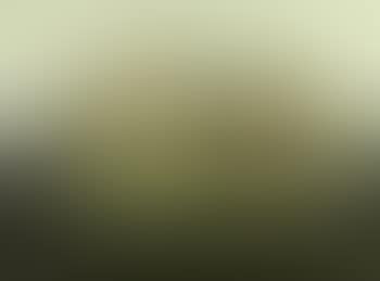 Composition (preview)