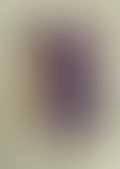 Composition optique (preview)