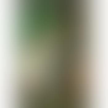 Interno Metafisico (Natura Morta Metafisica) (preview)