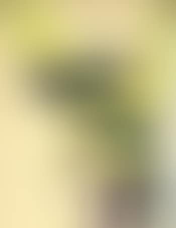 Composition abstraite en jaune et violet (preview)